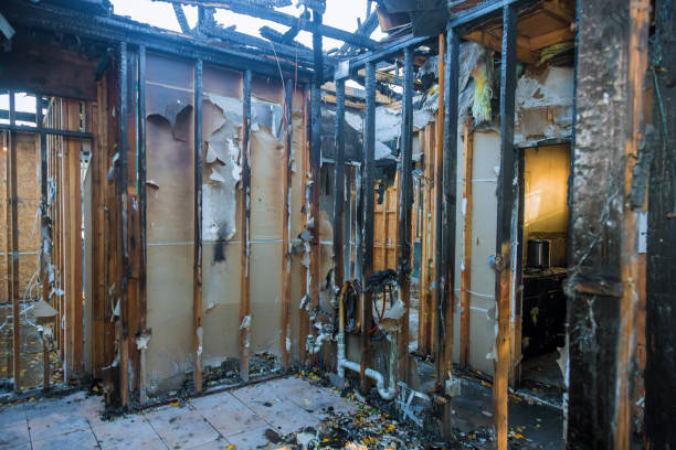 Professional Fire Damage Removal technician working in Logansport, LA